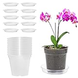 Vueinrg 10 Stück Orchideentopf Transparent 11,5cm aus Kunststoff Orchideen...