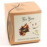 Geschenk-Anzuchtset FOR YOU - Sonnenblume Abendrot, inkl. Anzuchttopf,...