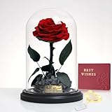 Ewige Rose im Glas mit LED, Echte Infinity Rose in Einer Glaskuppel mit...