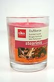 POSTEN 6 x DUFTKERZE im GLAS STEARIN EIKA KERZE Spicy Mandarin STEARINIS...