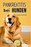 Pankreatitis bei Hunden: Ihr Leitfaden zum Erkennen von Ursachen, Anzeichen...