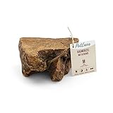 PetLove Kauwurzel für Hunde mit Olivenöl • 100% natürliches Kauholz...