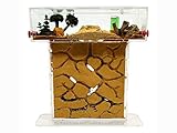 ANTHILLSHOP Natürliche Ameisenfarm aus Sand - Acryl T Kit...