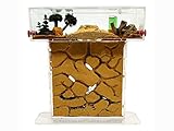 Natürliche Ameisenfarm aus Sand - Acryl T Kit 15x15x1,5cm【Ameisen...