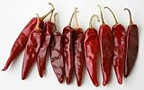 Kalocsai paprika - Chili - Süß - 5+ Samen ORIGINAL UNGARISCHE! Ca 002