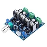 Analog Schaltungsstärkeverstärker -Board -Stereo -Audio -Modul DC24V 2A...