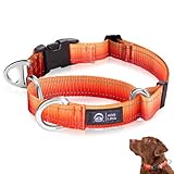 Arblina Martingale Hundehalsband, Reflektierendes Zugstopp Halsband Hunde...