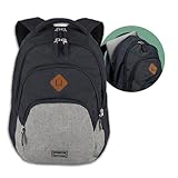 travelite Handgepäck Rucksack, Laptop Rucksack 15,6 Zoll, BASICS, Daypack,...