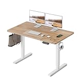 FEZIBO Höhenverstellbarer Schreibtisch EINTEILIGER Tischplatte, 100 x 60...