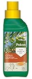 Pokon Zitrus- und Mediterraner Pflanzendünger 250ml, Spezial...