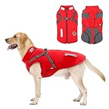 Hundemantel, Winter Hundejacke Wasserdicht Winddichte mit bauchschutz,...