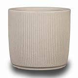 Scheurich Linetto 30, Pflanzgefäß/Blumentopf/Pflanzkübel, rund, Farbe:...