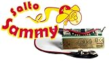 Salto Sammy - Tuning für Looping Louie