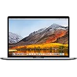 2018 Apple MacBook Pro mit 2.9GHZ Intel Core i9 (15-zoll, 16GB RAM, 256GB...
