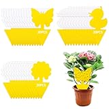 CIRULLI 60x Gelbsticker gegen Trauermücken - 3 Muster,Effektive...