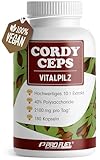 Cordyceps Kapseln 180x - 2100 mg Vitalpilz-Extrakt aus Cordyceps sinensis -...