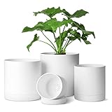 T4U 10/12,5/15/17,5cm Kunststoff Blumentopf mit Mehrere Ablauflöchern,...