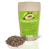 Papaya-Kerne 250g Papaya-Samen ACHTUNG! Keine hybrid Samen daher SEHR...