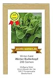 Winter-Kopfsalat - Winterbutterkopf - samenfeste Sorte - 500 Samen Grün