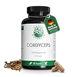 Cordyceps Sinensis | 180 Kapseln | Hochdosiert: 1400 mg Cordyceps pro...
