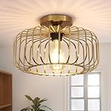 FRIDEKO HOME Deckenlampe Wohnzimmer,Modern Deckenleuchte aus Metall...