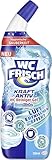 WC FRISCH WC Reiniger Gel Ozeanfrische (750 ml), WC Reiniger mit...