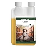 TJURE - Ulmenrinde Liquid - 500 ml |Naturkraft für EIN gutes Bauchgefühl
