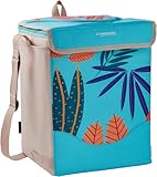 Campingaz Ethnic Minimaxi 19 Liter Kühlbox | Isolierte Tasche hält...