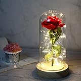 Die Schöne und die Biest Rose, Ewige Rose in Transparente Kuppel,Geschenk...