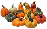 khevga Herbstdeko Zierkürbis Deko-Kürbisse aus Terracotta 12er Set