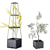 Tomatenpflanzturm, Blumenkasten mit Rankgitter, Tomatentopf Hochbeet...