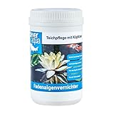 CleverAqua Fadenalgenvernichter mit Aktivsauerstoff effektives Algenmittel...
