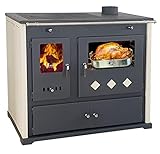 Kaminofen mit Backfach und Herdplatte Practik Lux Holzofen 9,5 kW Kamin...