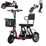 FANGZHL Elektro Dreirad,Elektromobil Seniorenmobil,Rollatoren Für...