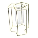 Toyvian 1 Stück Hydrokulturbehälter aus Eisengestell Vase für Hydroponik...