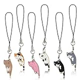 Molain Handykette Universal, 6 Stück Katzen Anhänger Handy OrnamentHandy...