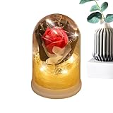 Konservierte Blume Rose – Glaskuppel-Beleuchtung, ewiges florales...