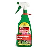 Neudorff Fungisan Rosen- und Buxus-Pilzfrei – Anwendungsfertiges Spray...