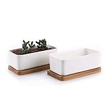 T4U 16.5CM Rechteckig Keramik Sukkulenten Töpfe Kaktus Pflanze Töpfe...