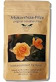 Mykorrhiza-Pilz Konzentrat für Rosen - original Schüßler-Pilze, bekannt...