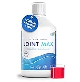 Joint MAX 500ml I Reines hydrolysiertes Kollagen (Typ I, II & III) I...