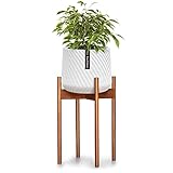 Pflanzenständer (Plant Stand) M+ OHNE Übertopf - Blumenständer Holz aus...