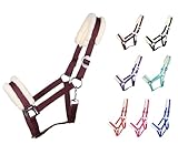 NETPROSHOP Solides Pferdehalfter gepolstert und verstellbar Gr. Mini Shetty...