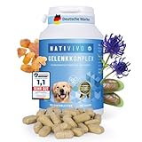 NatiVivo® Hunde Gelenktabletten Grünlippmuschel Gelenkkomplex Testsieger...