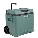 IGLOO elektrische Kühlbox IE42 für Auto und Steckdose, 42L, 12V und 230V