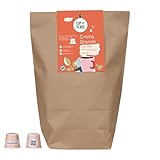CUP VERDE – 80 Crema Grande Premium Kaffeekapseln kompatibel mit...