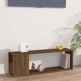 ZycaXzCrons TV-Schrank Braun Eichen-Optik 100 x 24 x 32 cm Holzwerkstoff...