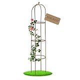 Nordstern Rankhilfe Obelisk Rost - Rankturm Rankgitter für Rosen und...