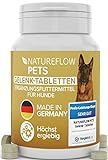 Gelenktabletten Hunde – Test SEHR GUT Made in Germany mit...