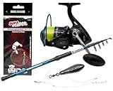 Angel Berger Saltline Brandungscombo Brandungsset mit Zubehör...